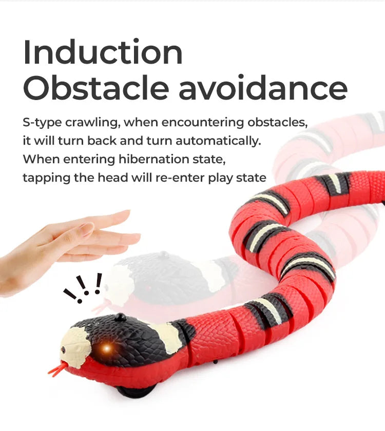 SnakeMate Interactive Cat toy