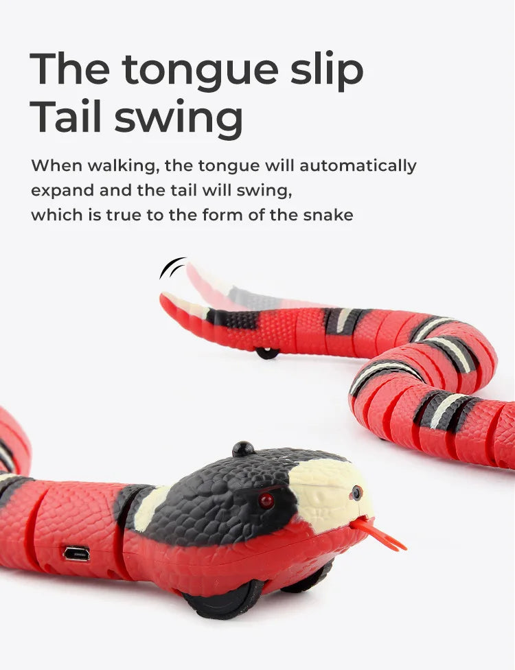 SnakeMate Interactive Cat toy