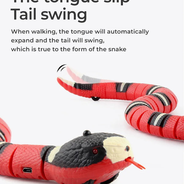 SnakeMate Interactive Cat toy