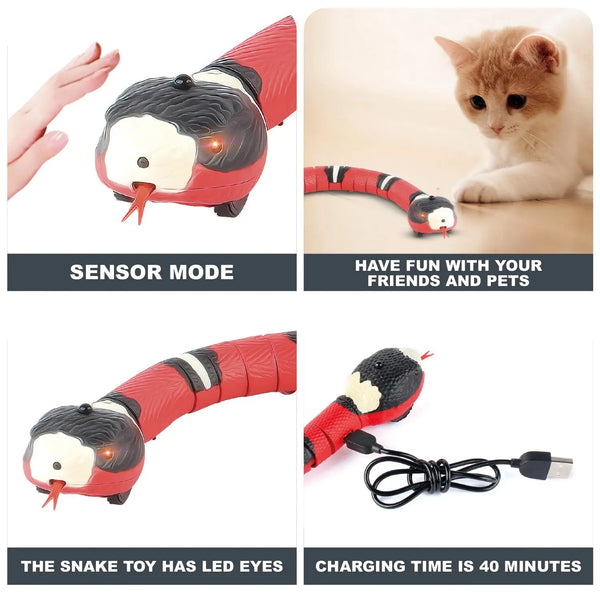 SnakeMate Interactive Cat toy