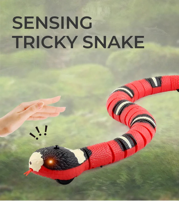 SnakeMate Interactive Cat toy