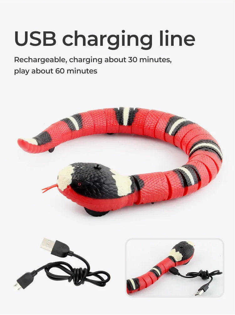 SnakeMate Interactive Cat toy