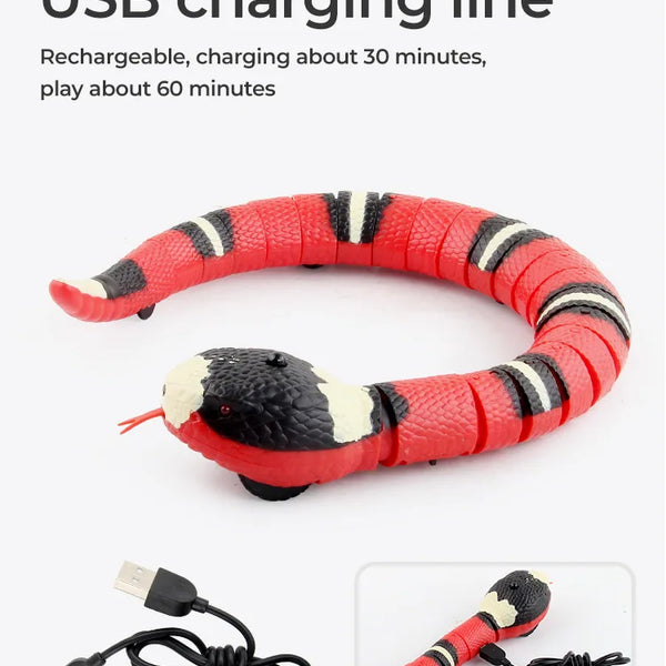 SnakeMate Interactive Cat toy